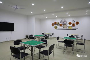 万万没想到 竟然让这么多艺术家进驻北辰,连魔术大师刘谦都来祝贺